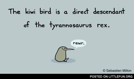 The kiwi bird is a direct descendant of the tyrannosaurus rex