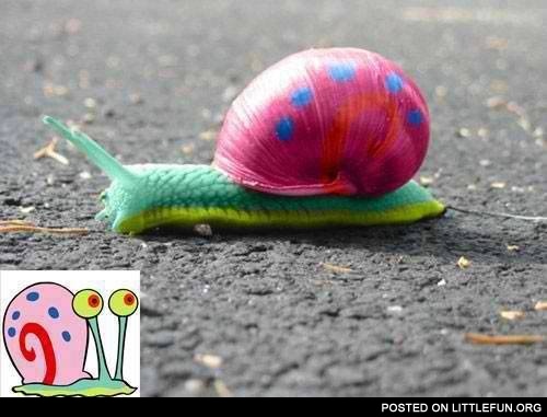 Painted snail