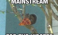 Nuts are too mainstream for the hipster squirrel
