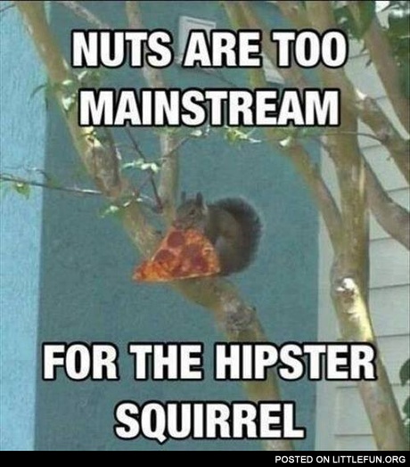 Nuts are too mainstream for the hipster squirrel