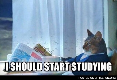 I should start studying 