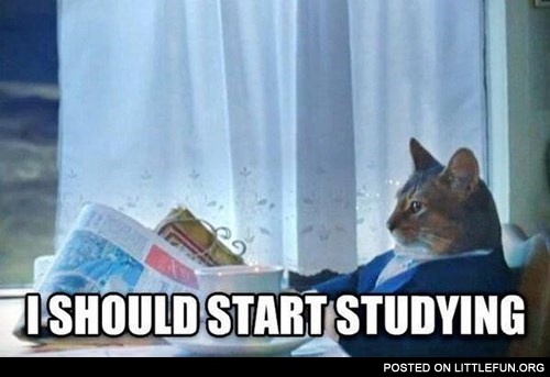 I should start studying 