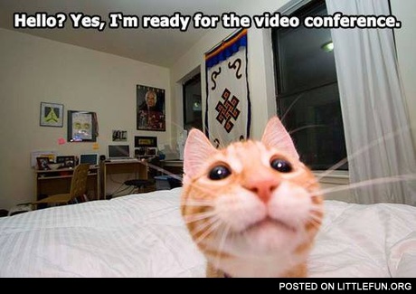 I'm ready for the video conference