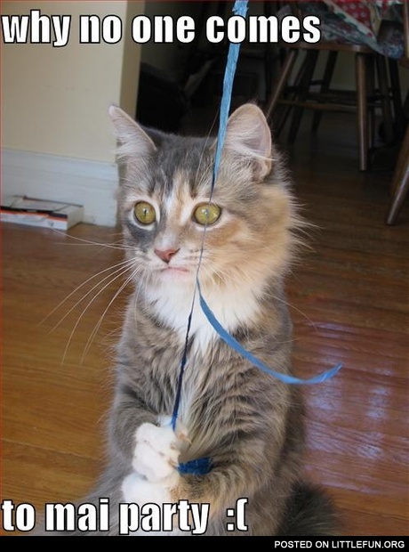 No one comes to my party