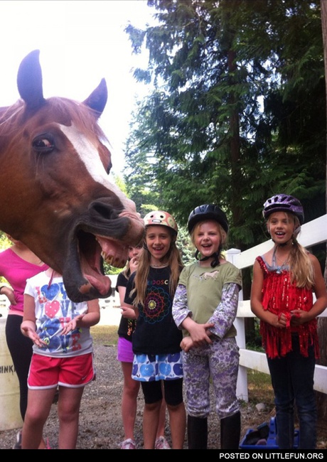 Photobombing level: Horse