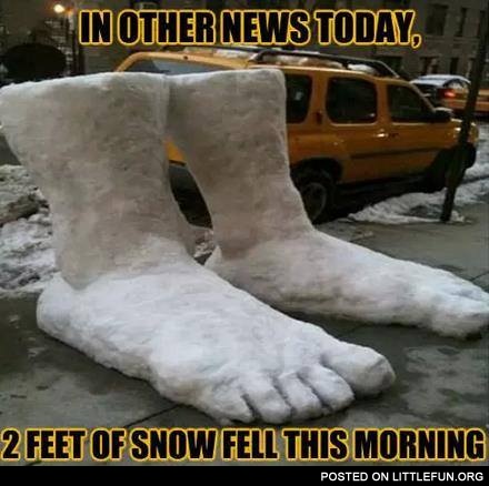 2 feet of snow fell this morning