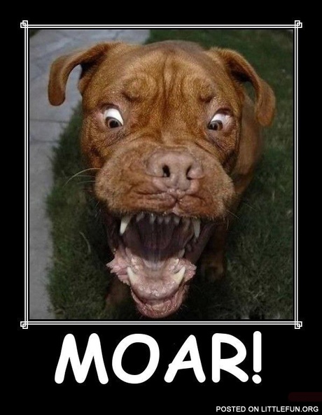 Moar dog