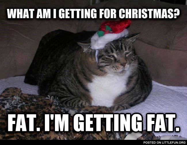 What am I getting for Christmas? Fat. I'm getting fat.