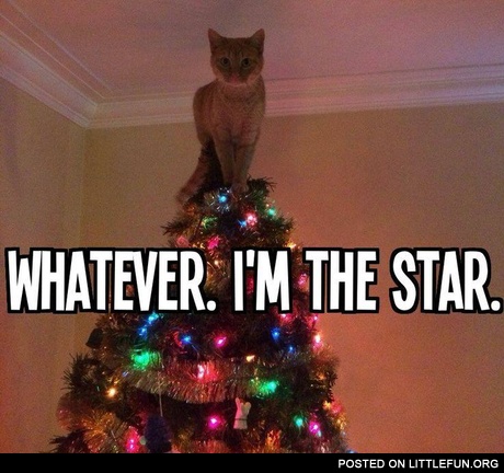I'm the star