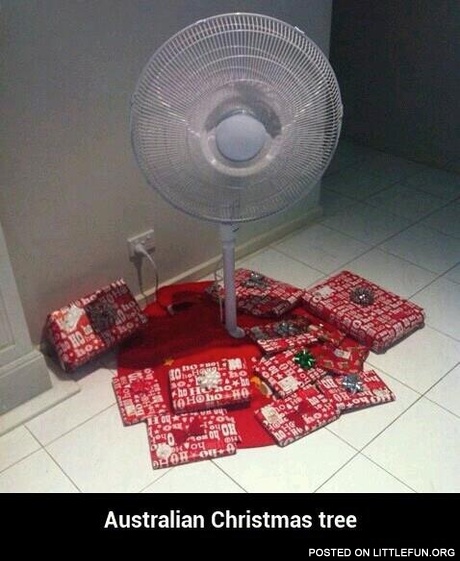 Australian Christmas tree