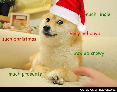 Much jingle. Such Christmas doge.