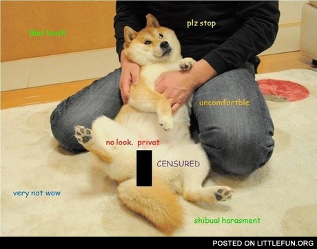 Censored doge
