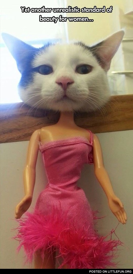 Yet another unrealistic standard of beauty for women