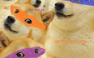 Ninja doges