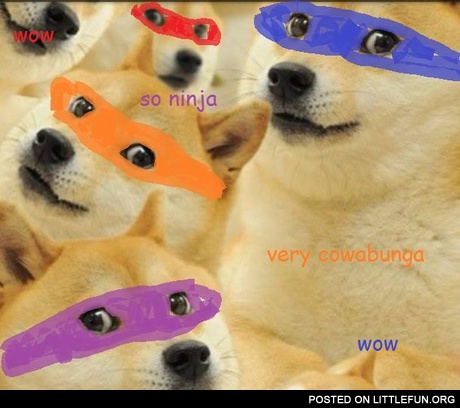 Ninja doges