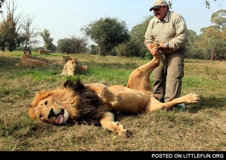 Lion massage