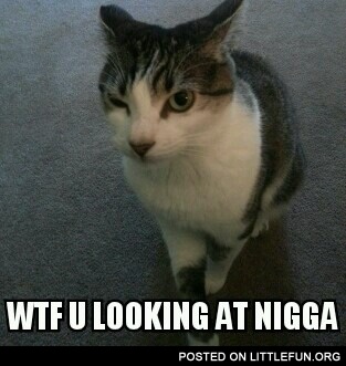 WTF u looking at n*gga