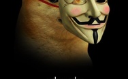 Doge Guy Fawkes