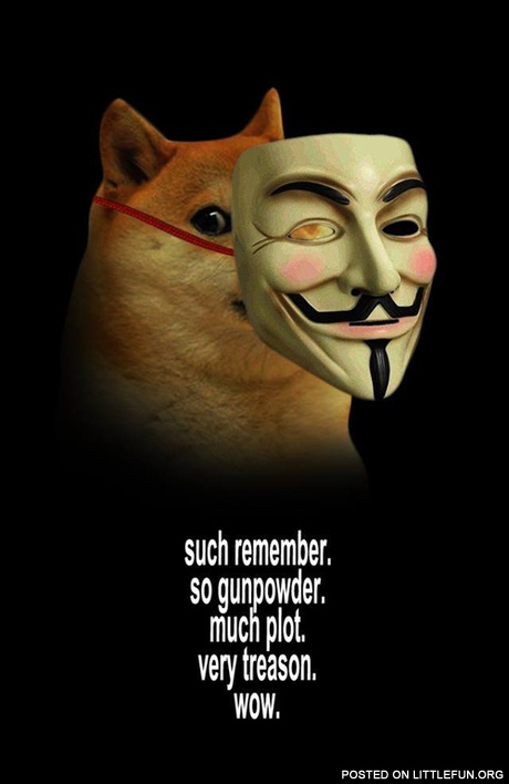 Doge Guy Fawkes