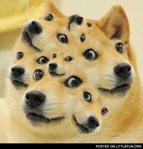 Surreal doge