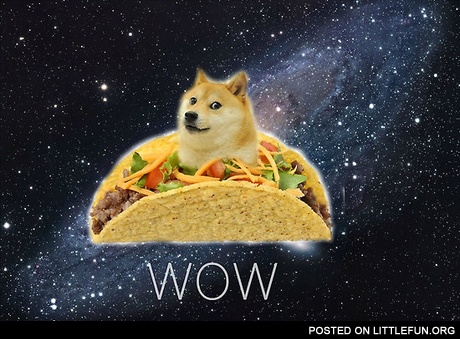 Taco doge, wow.