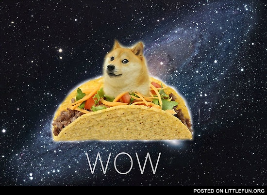 Taco doge, wow.