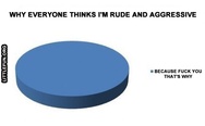 Why everyone thinks I'm rude and aggressive. Because f**k you, that's why.