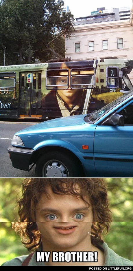 "Lord of the Rings" and "The Hobbit"