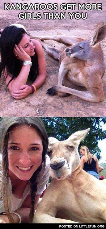 Kangaroos get more girls than you.