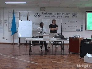 Cat falling from ceiling.