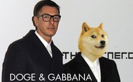 Doge & Gabbana