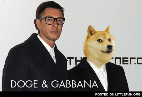 Doge & Gabbana