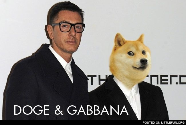 Doge & Gabbana