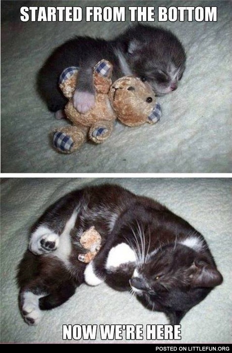 Started from the bottom, now we are here.