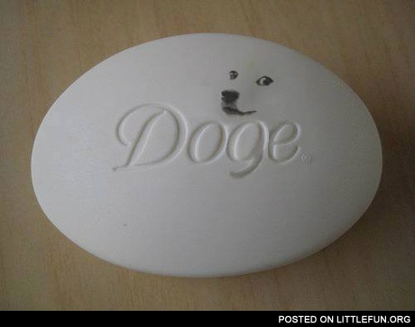 Dove doge.
