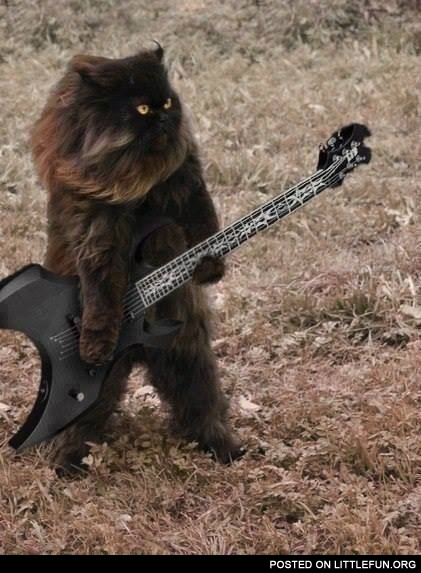 Metal cat
