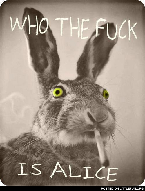 Who the f**k is Alice?