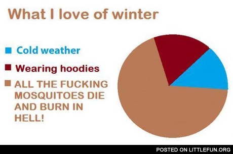 What I love of winter. All the f**king mosquitoes die and burn in hell.