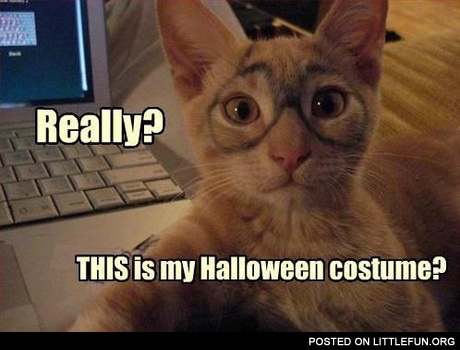 Really? This is my Halloween costume?