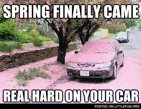 Spring finally came real hard on your car