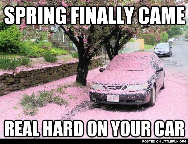Spring finally came real hard on your car