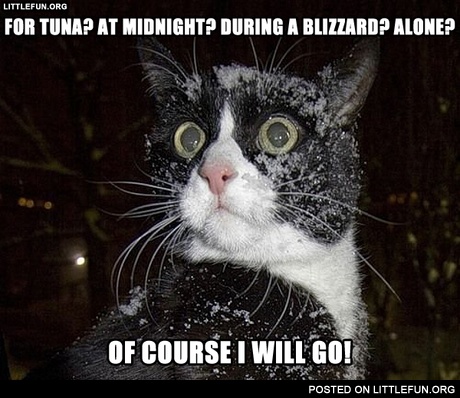 For tuna? At midnight? During a blizzard? Alone? Of course I will go!
