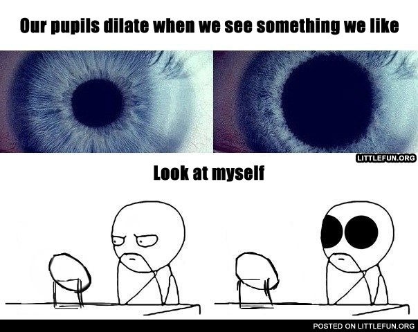 Our pupils dilate when we see something we like.