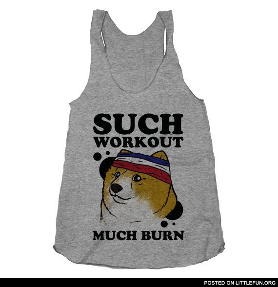 Such workout much burn. Fitness doge.
