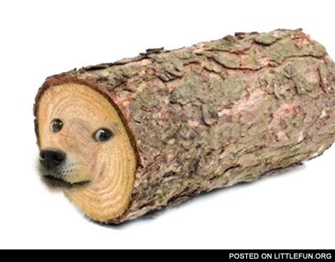 Doge log