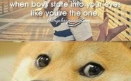 When boys stare into your eyes like you are the one. Doge.
