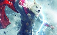 Doge Thor