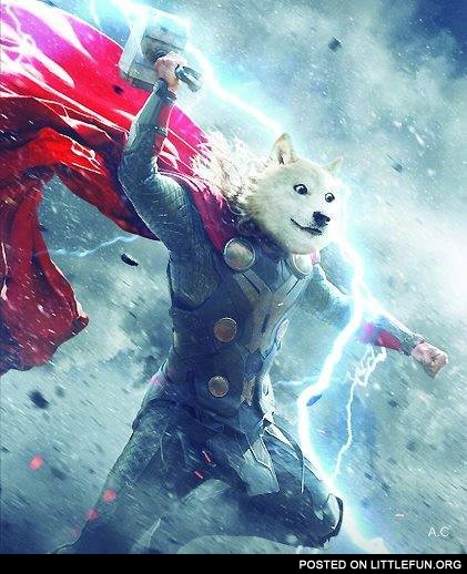 Doge Thor
