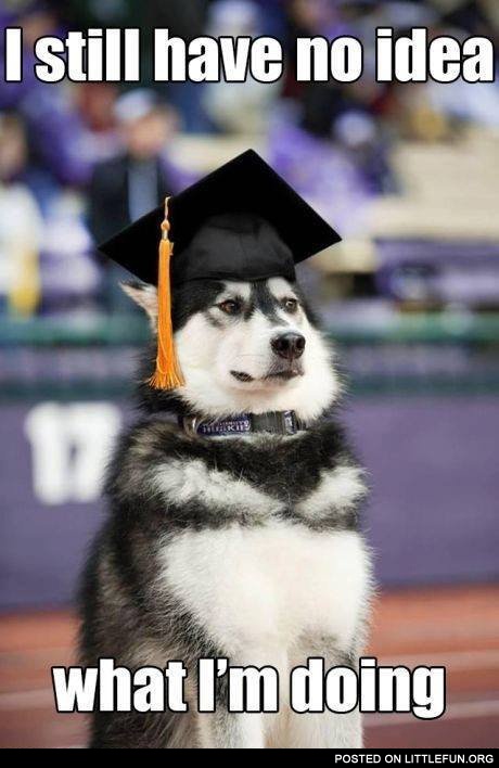 I still have no idea what I'm doing.