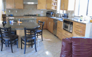 Smart dog in the kitchen.